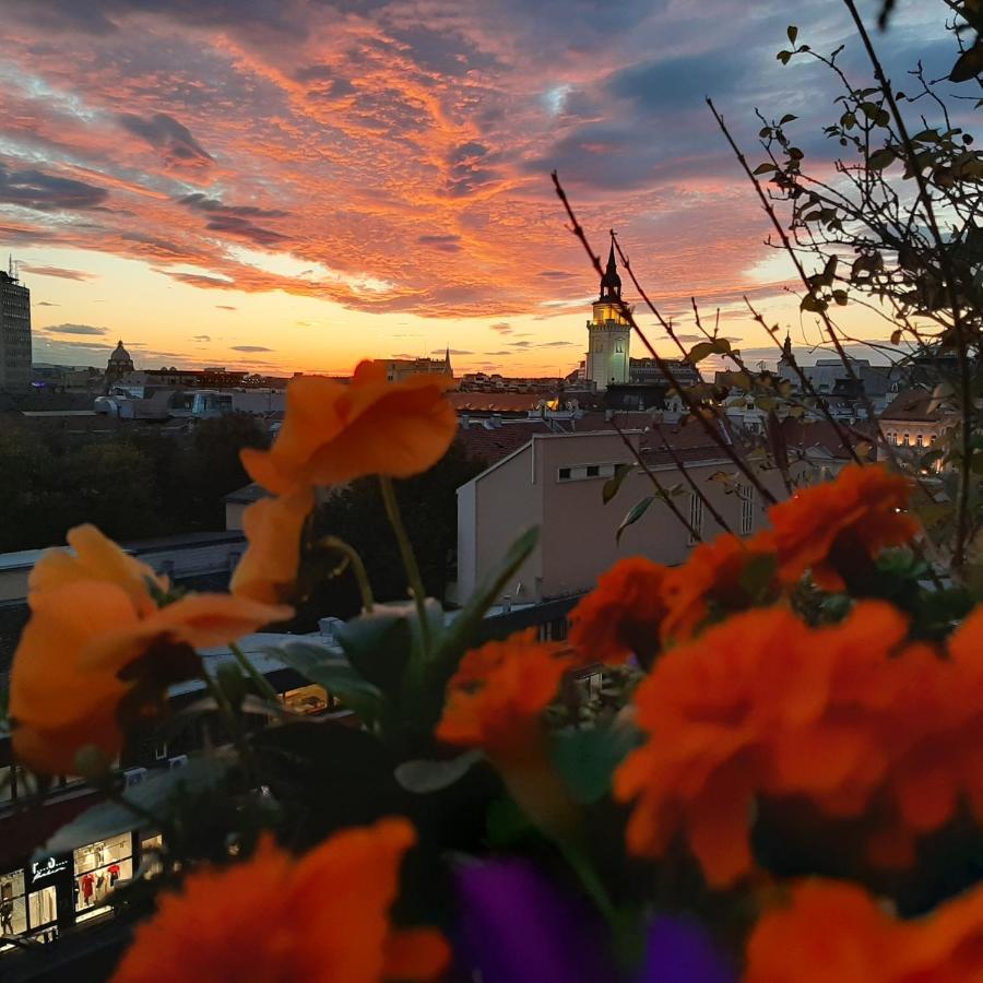 Penthouse Modena Lägenhet Novi Sad